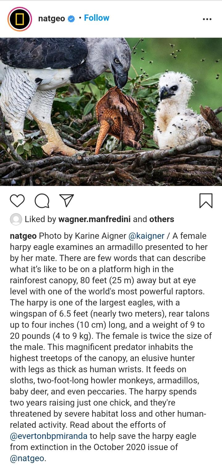 Natgeo