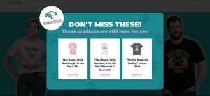 thinybeastdesign e1599572270745 300x138 - Which Popups Are Most Important for Shopify? 6 Types You Need