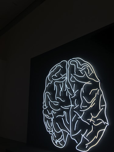 rankbrain in neon light 