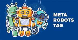 meta robots tag