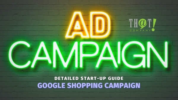 Google Shopping Ad Campaign