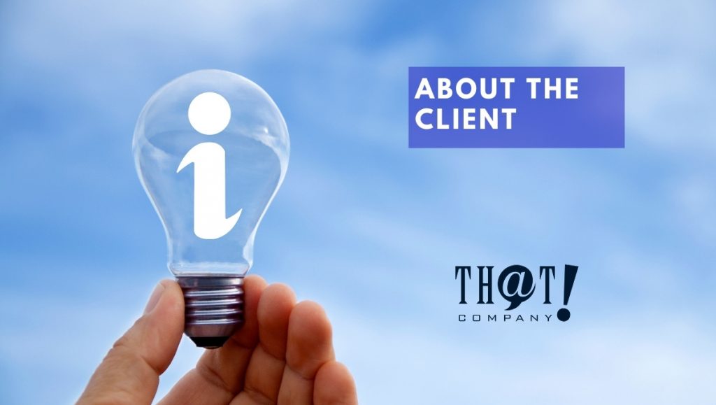 About the Client's Search Engine Optimization Campaign | Person Holding Lightbulb With an "i" In It