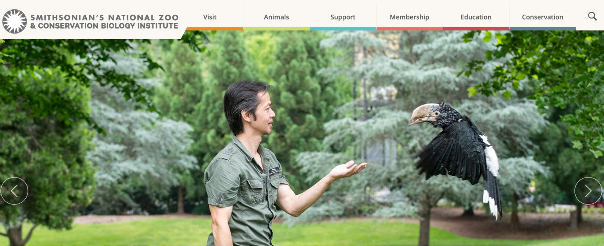 Beispiel für Zoo-Website-Banner