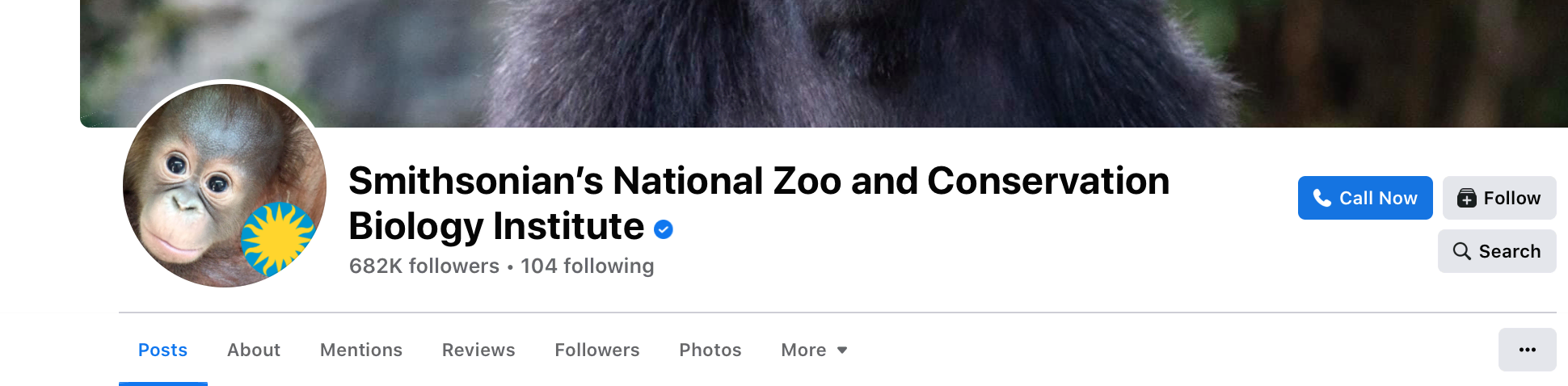 مثال على عنوان facebook للعلامة التجارية zoo