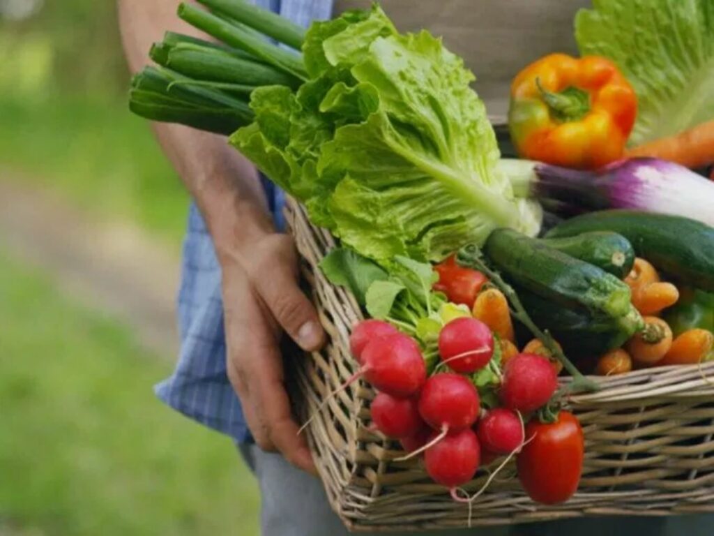 Bukan Peluang Bisnis, Kata Ninjacart Tentang Pengiriman Bahan Makanan Ke Masyarakat Perumahan