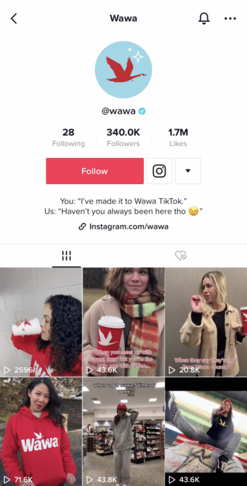 Il minimarket Wawa mantiene la sua identità di marca in tutta la sua pagina TikTok.