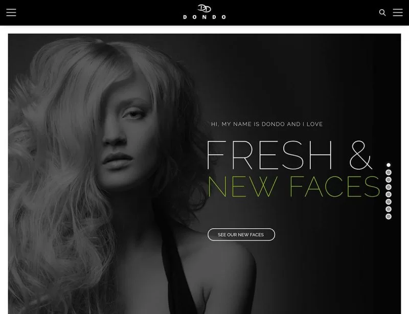 Dondo Fashion WordPress Theme