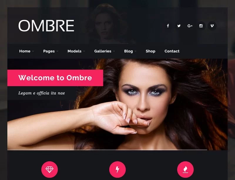 Tema WordPress da agência de modelos Ombre