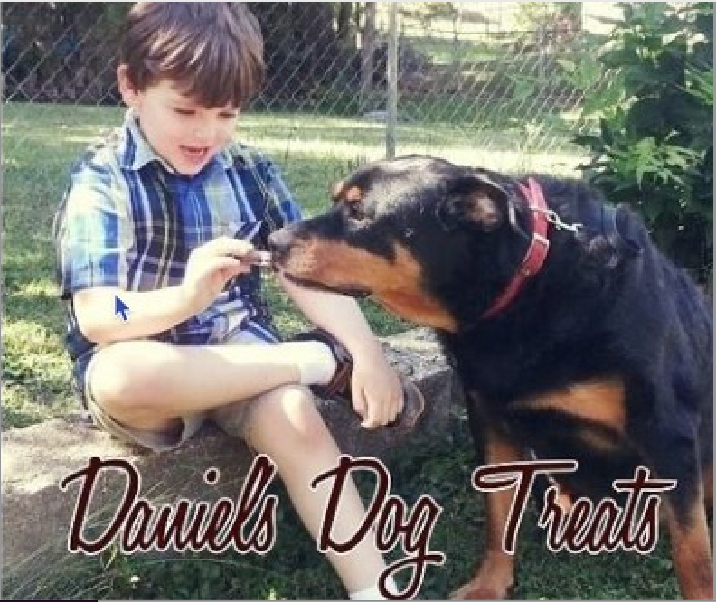 Daniels Dog Treats photo of boy feeding dog a dog treat