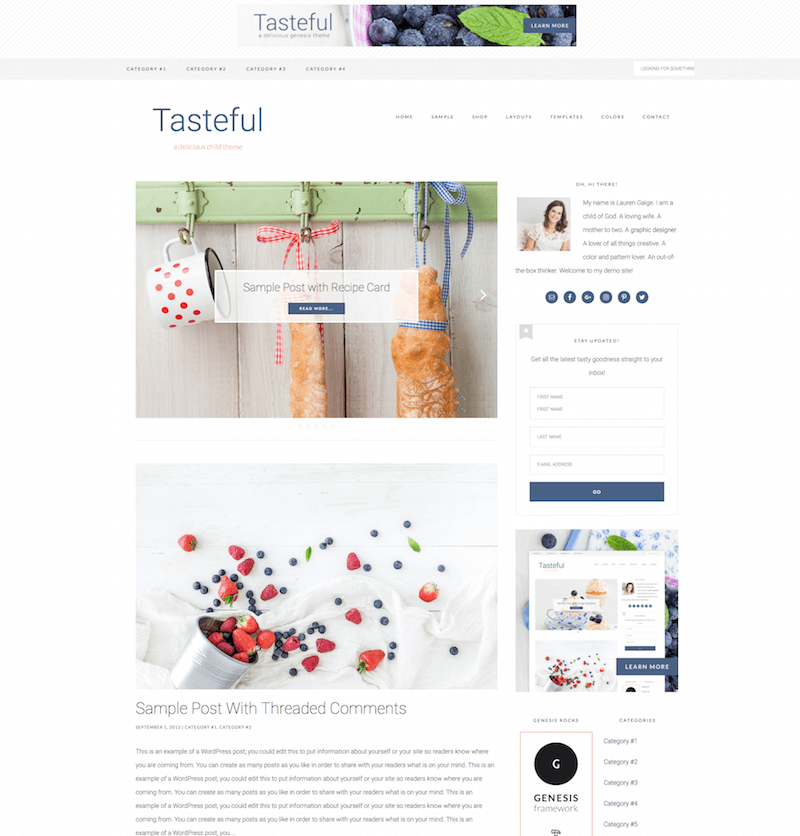 Geschmackvolles WordPress-Theme