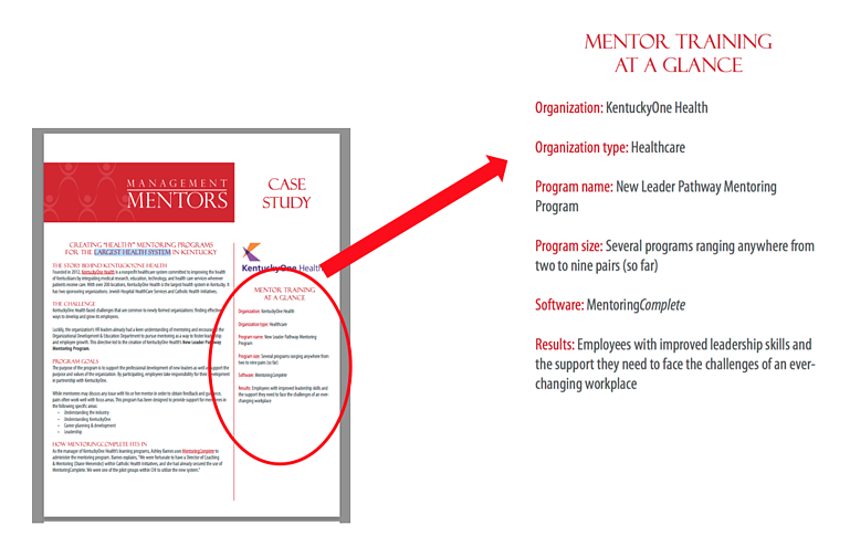 Management Mentors Sidebar Summary Example
