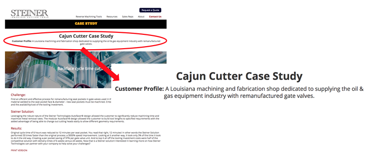 Steiner Technologies Customer Profile Example