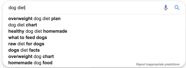 Sugestões de dieta para cães da barra de pesquisa do Google