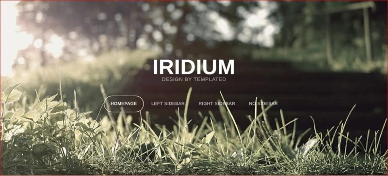 قالب Adobe Iridium