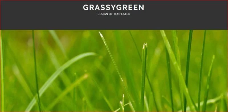 Grassygreen 模板