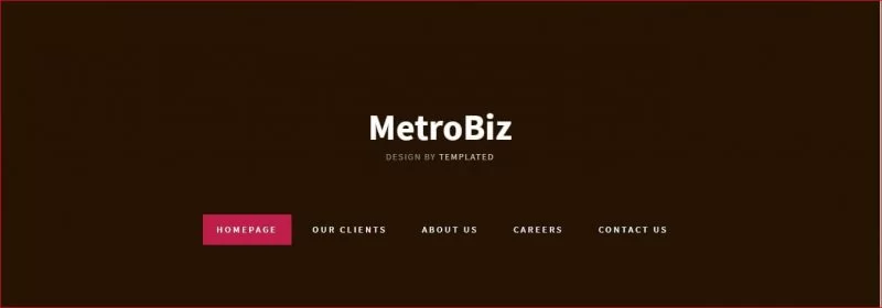 قالب MetroBiz