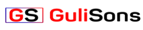 古尔冈的 SEO 代理 - Gulisons Logo