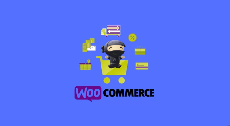 최고의 WooCommerce 플러그인