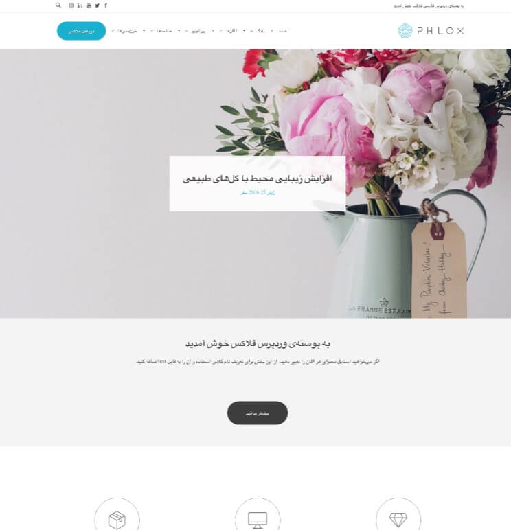 Phlox Pro WordPress 테마