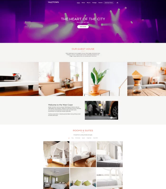 tema wordpress bellevue