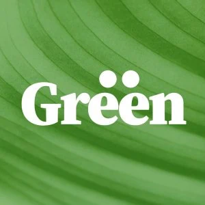 marka logosu anlaşmazlık avatar örneği