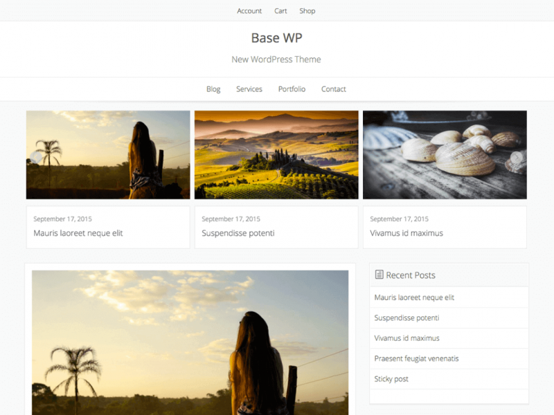 Basis-WP-WooCommerce-Theme