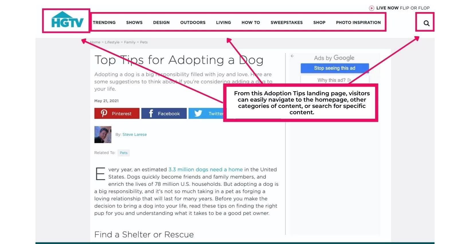 Uma landing page para HGTV com dicas para adotar um cachorro. Uma caixa rosa ao redor do menu de navegação.