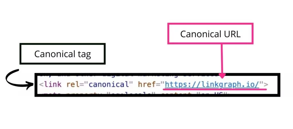 kurallı bir etiket ve kurallı URL