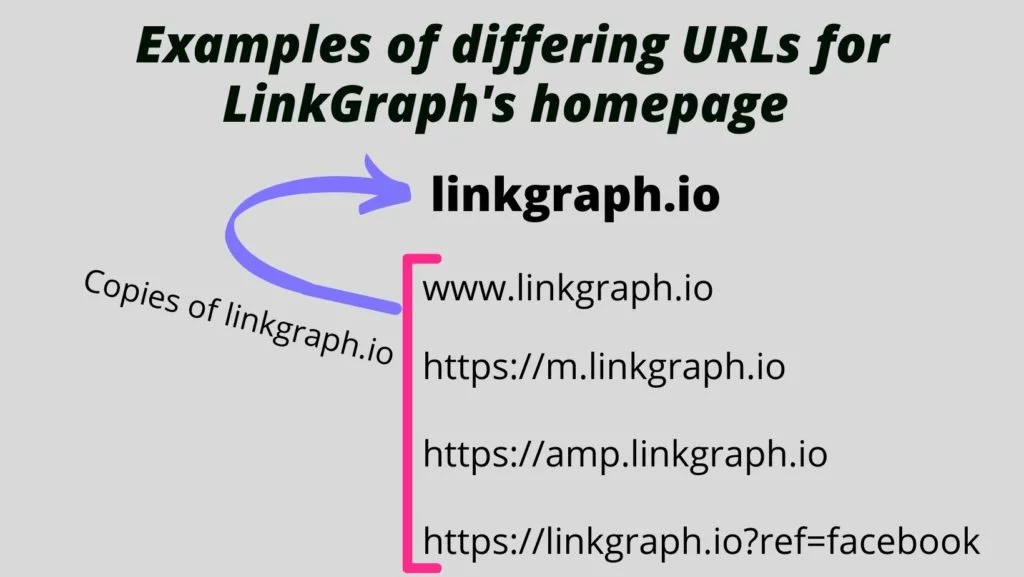 正規タグがどのように機能するかの例として、URL のバリアントを示す図