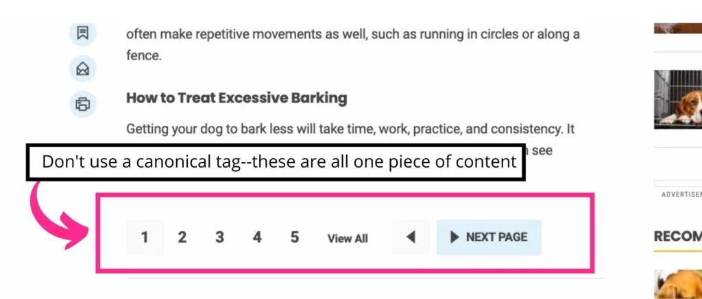 explicación y ejemplo de contenido paginado