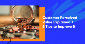 Frame 57 1 300x157 - Customer Perceived Value Explained + 5 Tips to Improve It