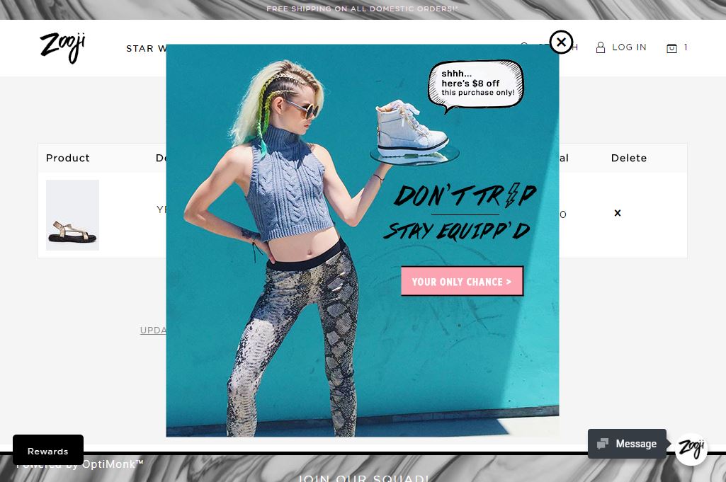 45 Zooji cart abandonment popup - Cart Abandonment - Definitive Guide