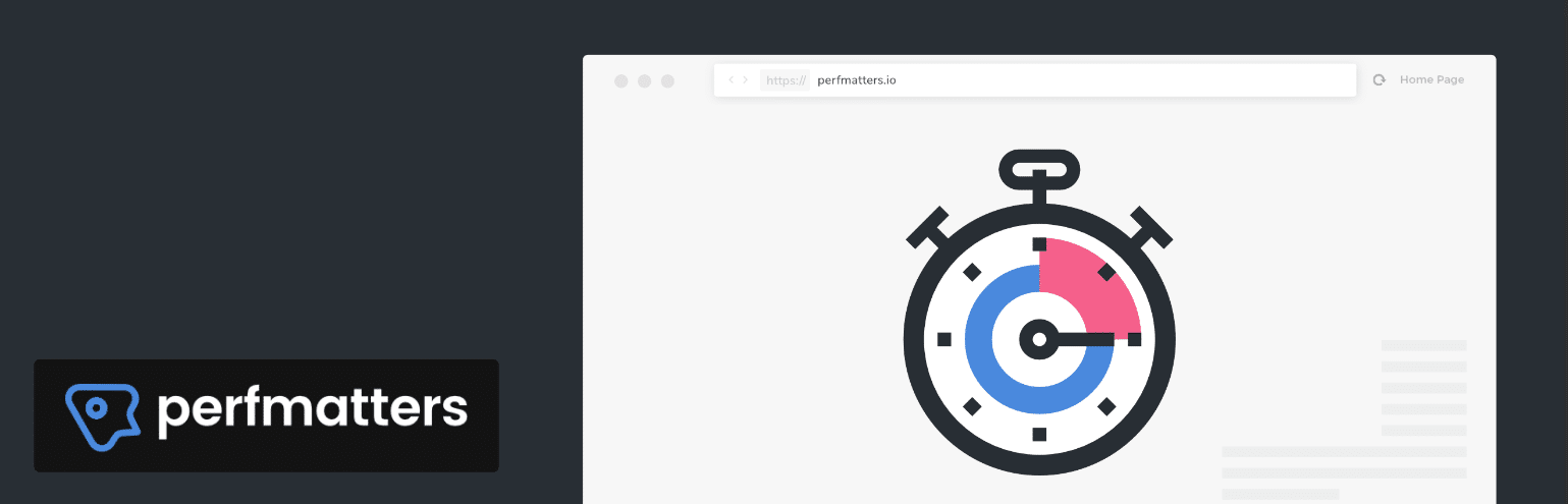 Perfmatters Web 性能 WordPress 插件