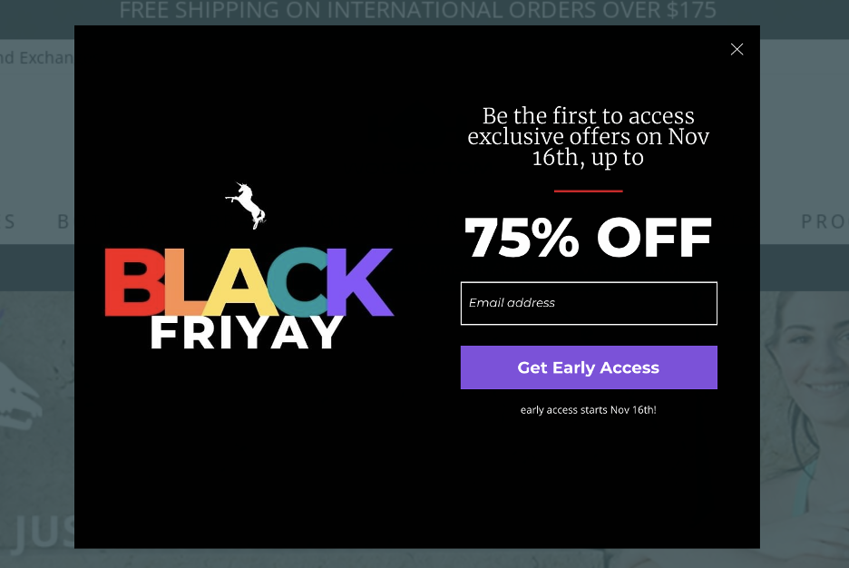 black friday popup 01 - 6 Black Friday Personalization Ideas to Promote Your Sale