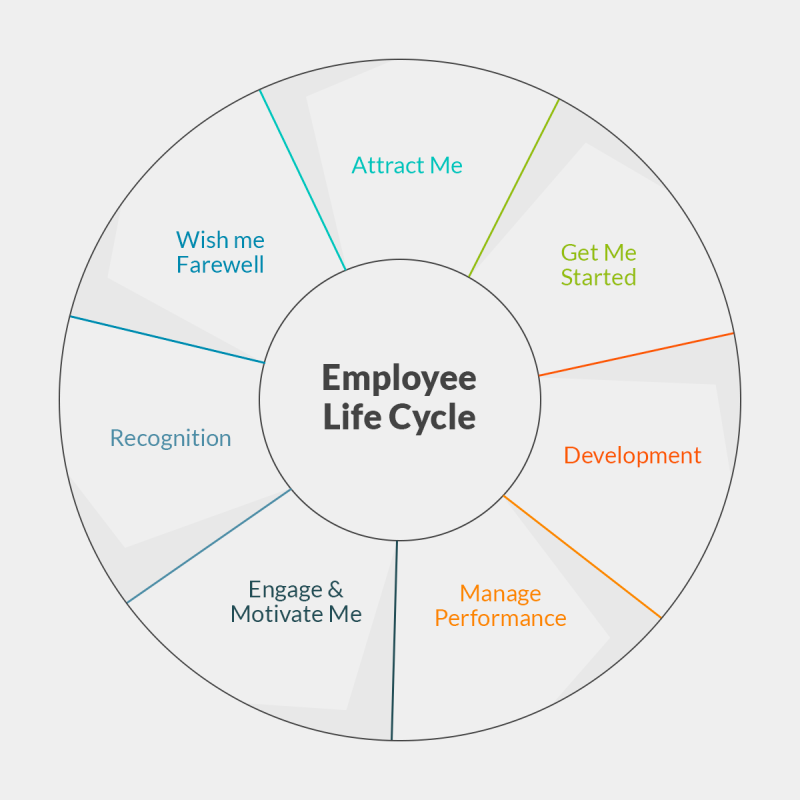 employee life cycle