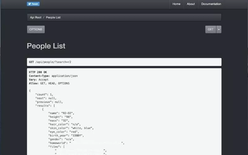 API basis data