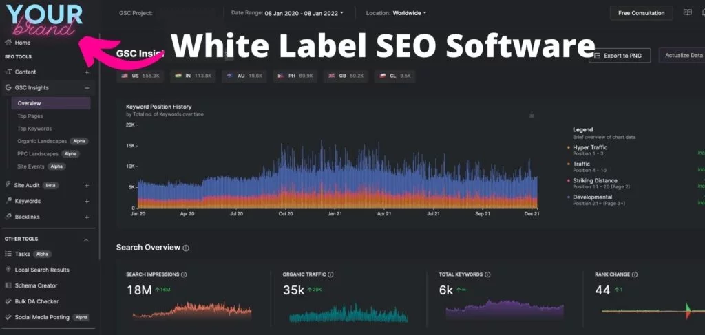 Painel de informações do GSC com software de SEO de marca branca apontando para sua marca