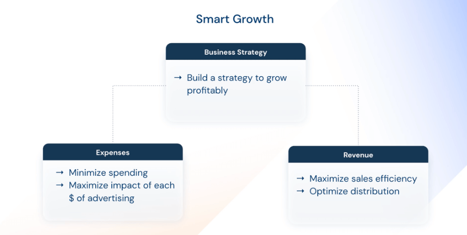 Smart Growth の 3 つの柱: 事業戦略、費用、収益