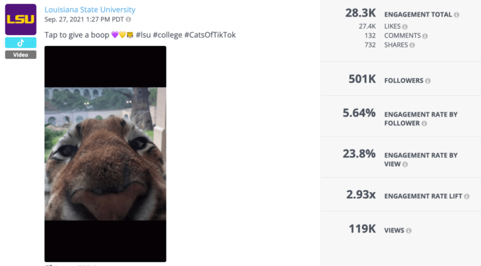 TikTok с пушистым тигром Майком, живым талисманом LSU, занял первое место в списке