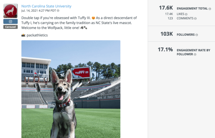 ノースカロライナ州立大学のマスコット Tuffy III をフィーチャーした投稿は、今年の最高の大学 Instagram 投稿の 1 つです。