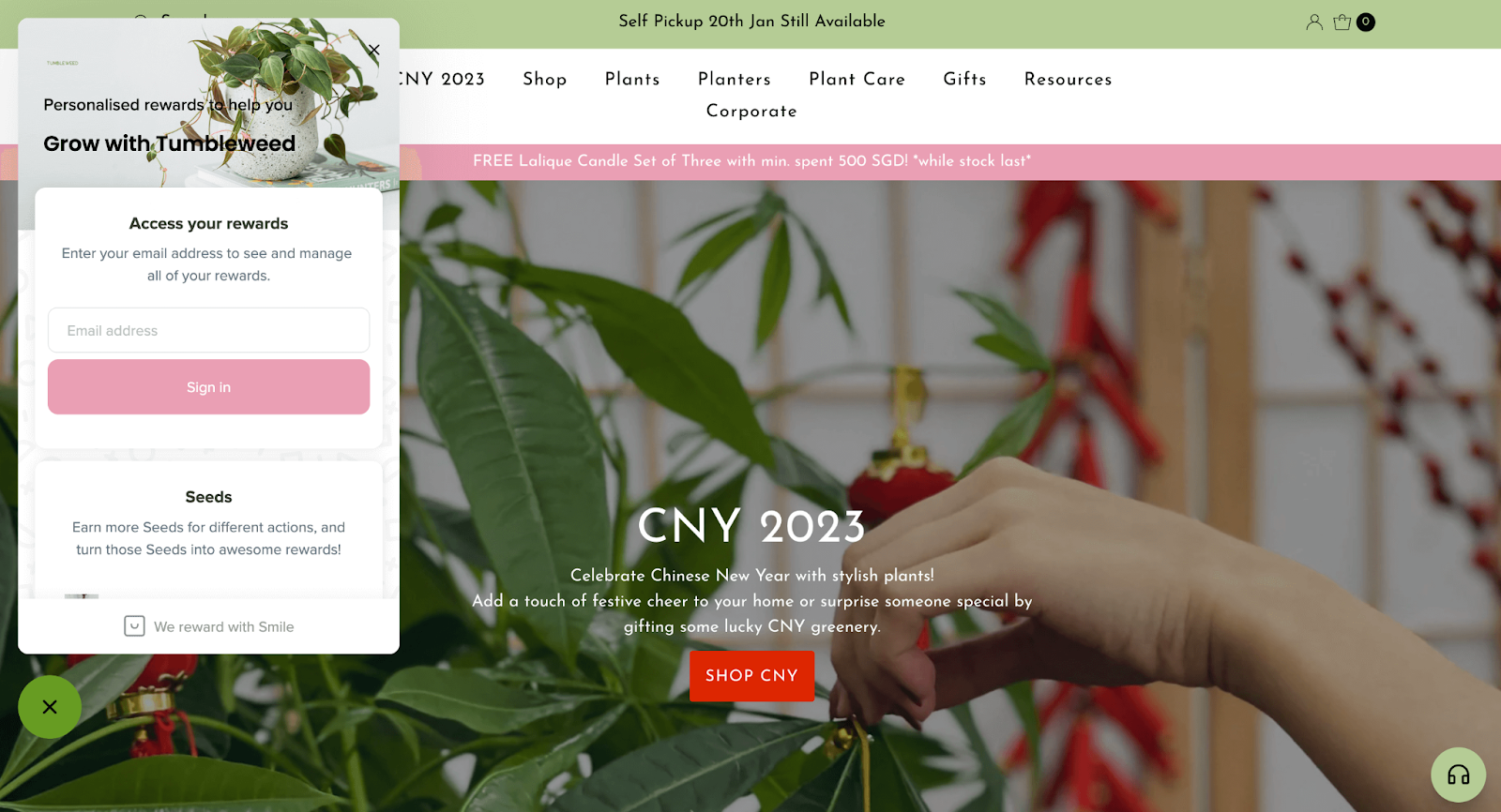 أسماء نقاط المكافآت الإبداعية - لقطة شاشة من الصفحة الرئيسية لموقع Tumbleweed Plant مع لوحة المكافآت على الجانب الأيسر من الصفحة. تعرض اللوحة نباتًا منزليًا محفوظًا بوعاء مع نص يقول ، "المكافآت المخصصة تساعدك على النمو باستخدام Tumbleweed". تُظهر صورة اللافتة الموجودة على الصفحة الرئيسية يدًا تزين نبتة خضراء مورقة. يقرأ النص في الأعلى ، "CNY 2023. احتفل بالعام الصيني الجديد بنباتات أنيقة! أضف لمسة من البهجة الاحتفالية إلى منزلك أو فاجئ شخصًا مميزًا من خلال إهداء بعض المساحات الخضراء المحظوظة باليوان الصيني ". يوجد زر أحمر به نص أبيض يقول "Shop CYN".