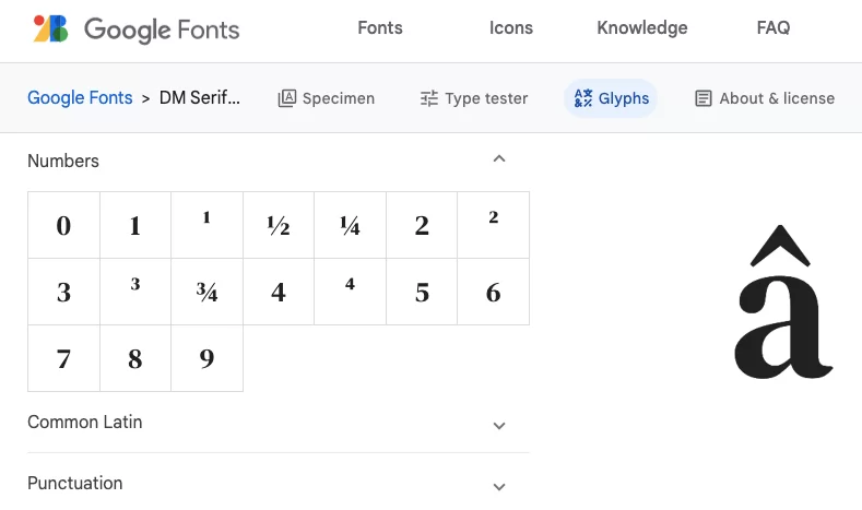 Visualizzazione DM Serif