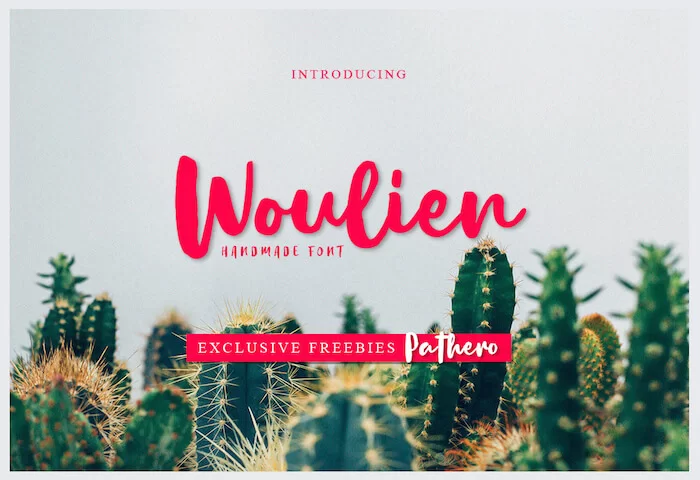 Fuente Woulien Script