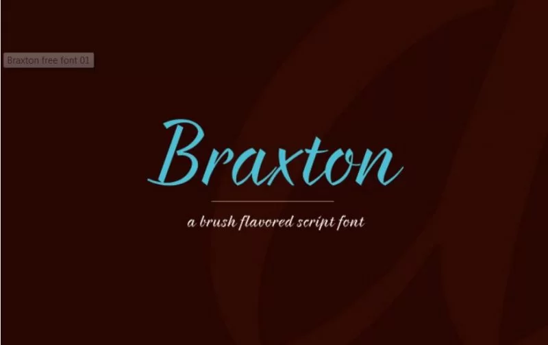 Fuente Braxton