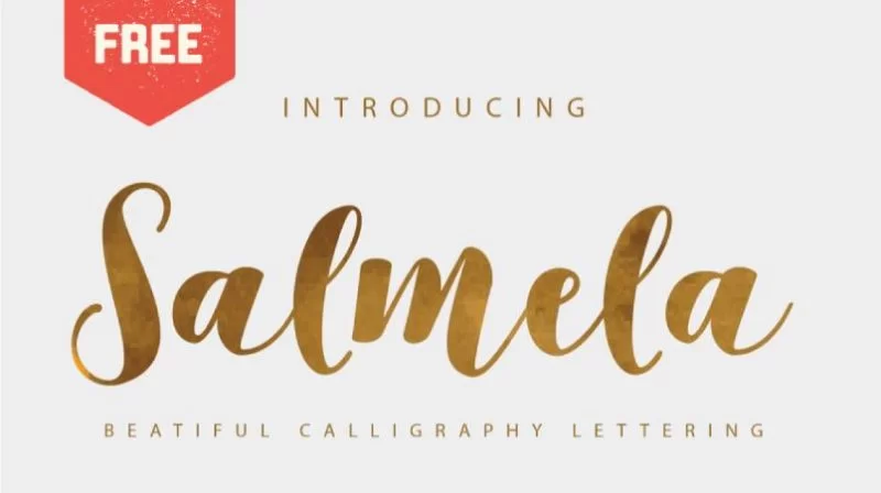 Fuente Salmela Script