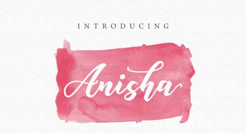 Anisha WordPress 主題