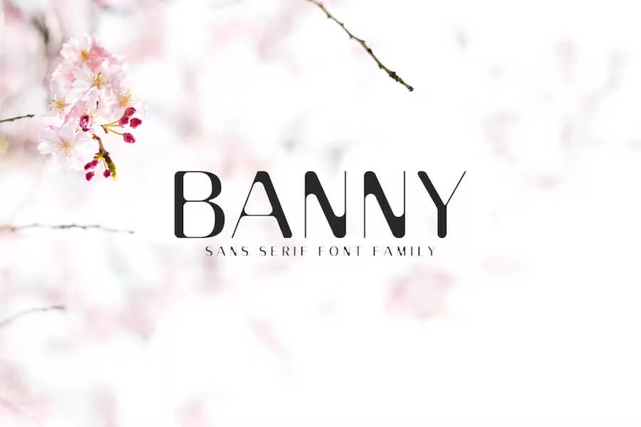 Famille de polices Banny Sans Serif