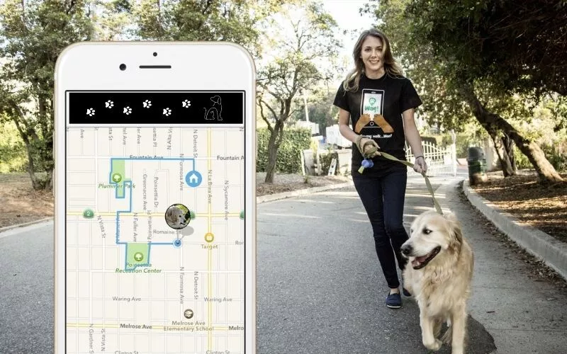 Qu'est-ce que l'application Dog Walking