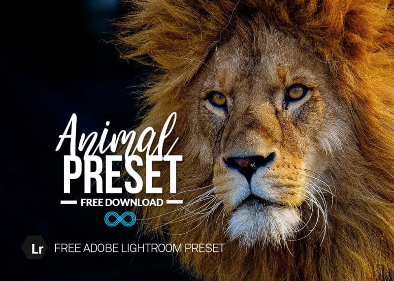 Animal Preset-Sammlung