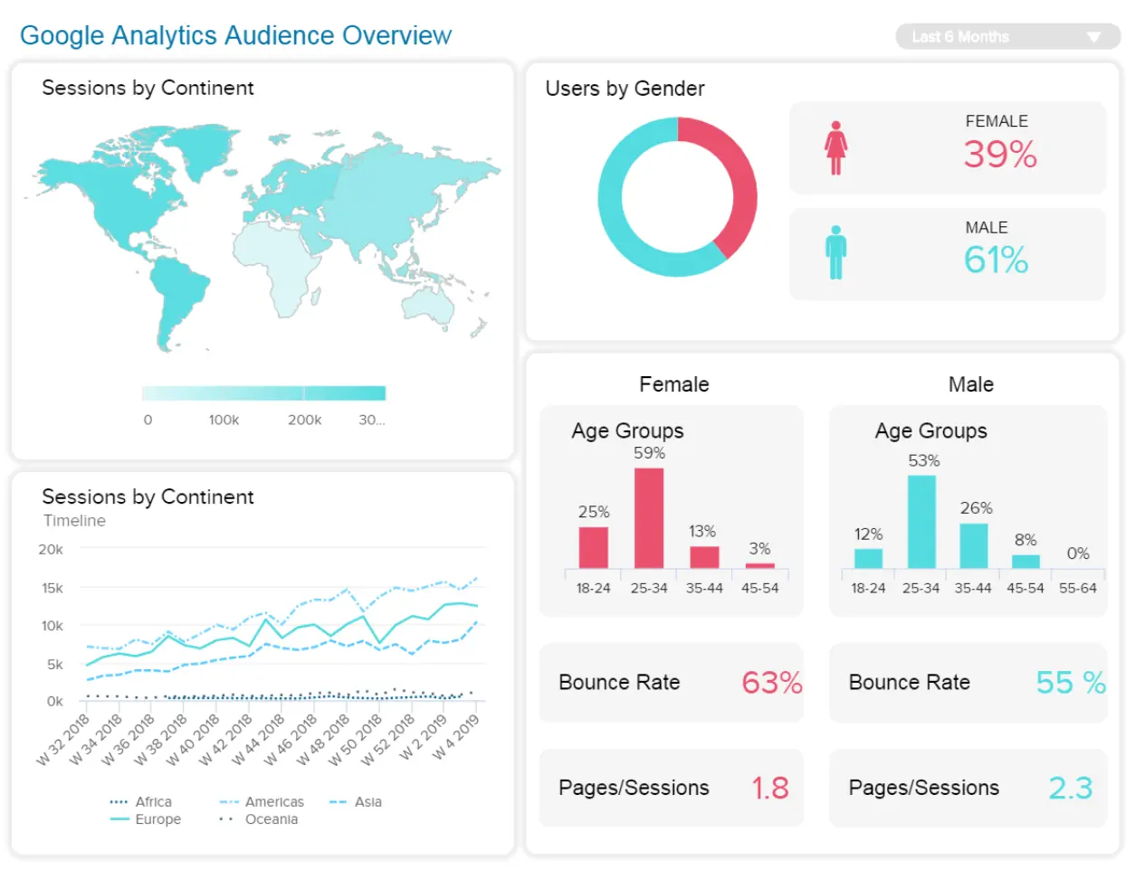 Panoramica del pubblico di Google Analytics-1